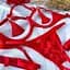 Еротичний комплект з відкритим доступом пестісами гартерами і чокером S/M/L Червоний - мініатюра 7
