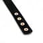 Нашийник із затискачами для сосків Liebe Seele Rose Gold Memory Collar With Nipple Clamps - мініатюра 7