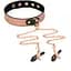 Нашийник із затискачами для сосків Liebe Seele Rose Gold Memory Collar With Nipple Clamps - мініатюра 8