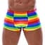Чоловічі труси Svenjoyment Rainbow S (мульті) - мініатюра 1