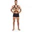 Портупея Bedroom Fantasies Rocco Masculine Masterpiece - Black - мініатюра 4