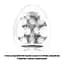 Мастурбатор-яйце Tenga Egg Sphere Tenga SO5491 92772 - мініатюра 2