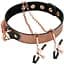 Нашийник із затискачами для сосків Liebe Seele Rose Gold Memory Collar With Nipple Clamps - мініатюра 1