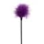 Тіклер-перо Toy Joy Sexy Feather 22 см фіолетовий - мініатюра 1