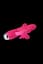Вібратор кролик Dream Toys Flirts Butterfly Vibrator Pink - мініатюра 3