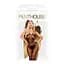 Бодистокинг с доступом к попке Penthouse - Dirty mind black S/M/L - миниатюра 3