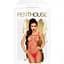 Бодістокінг у велику сітку Penthouse - Body Search Red XL - мініатюра 3